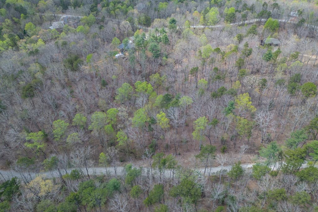 Lot 6B Glenridge Way, Ellijay GA 30540 - Photo