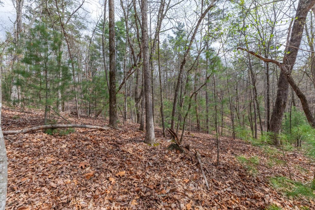 Lot 6B Glenridge Way, Ellijay GA 30540 - Photo