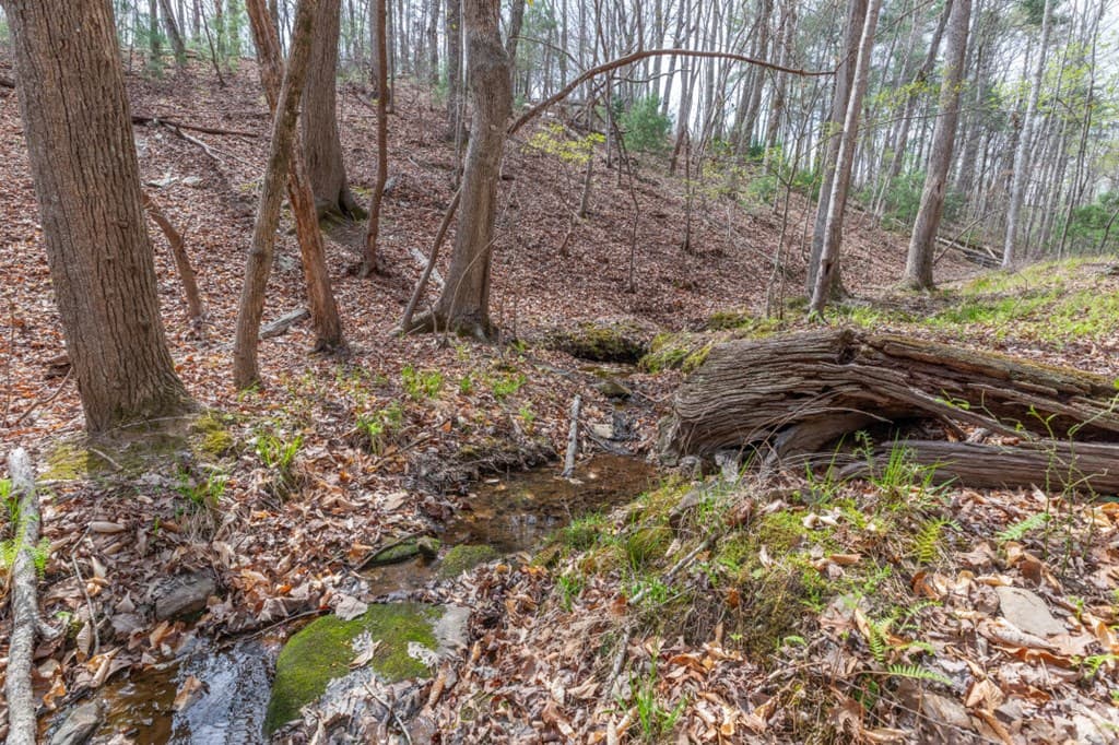 Lot 6B Glenridge Way, Ellijay GA 30540 - Photo