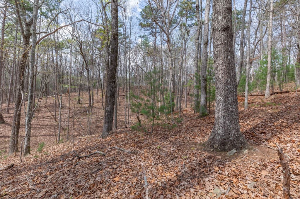 Lot 6B Glenridge Way, Ellijay GA 30540 - Photo