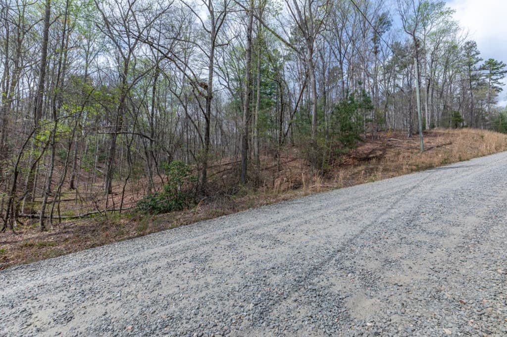 Lot 6B Glenridge Way, Ellijay GA 30540 - Photo