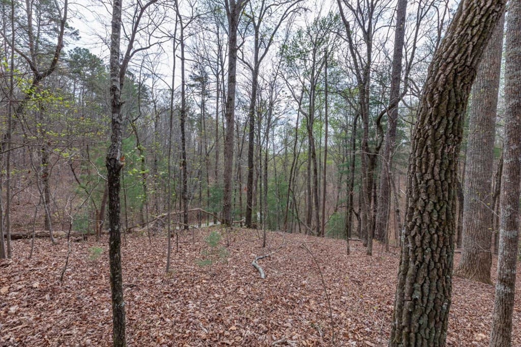 Lot 6B Glenridge Way, Ellijay GA 30540 - Photo