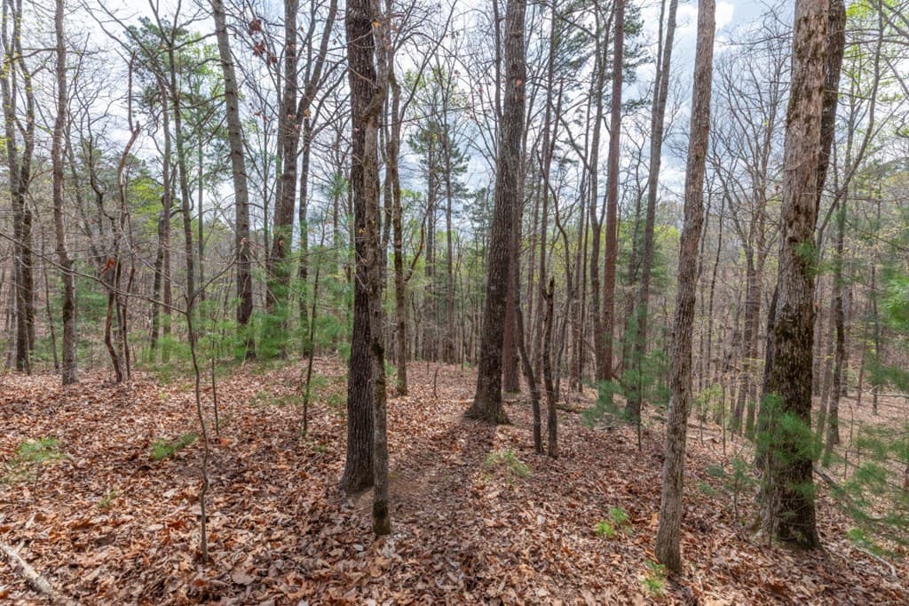 Lot 6B Glenridge Way, Ellijay GA 30540 - Photo