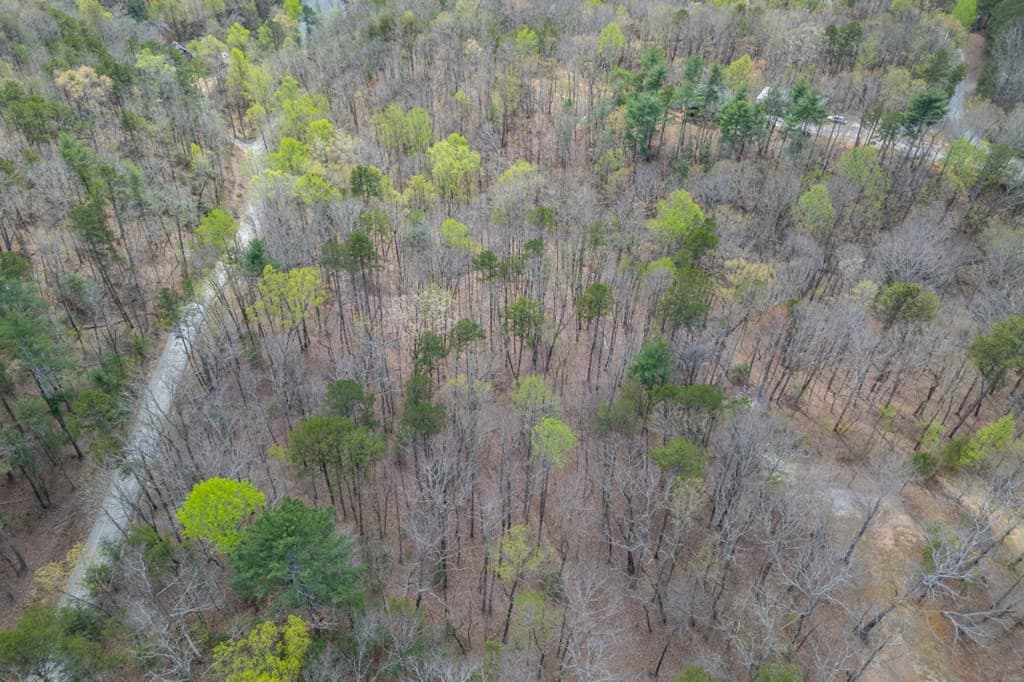 Lot 6B Glenridge Way, Ellijay GA 30540 - Photo