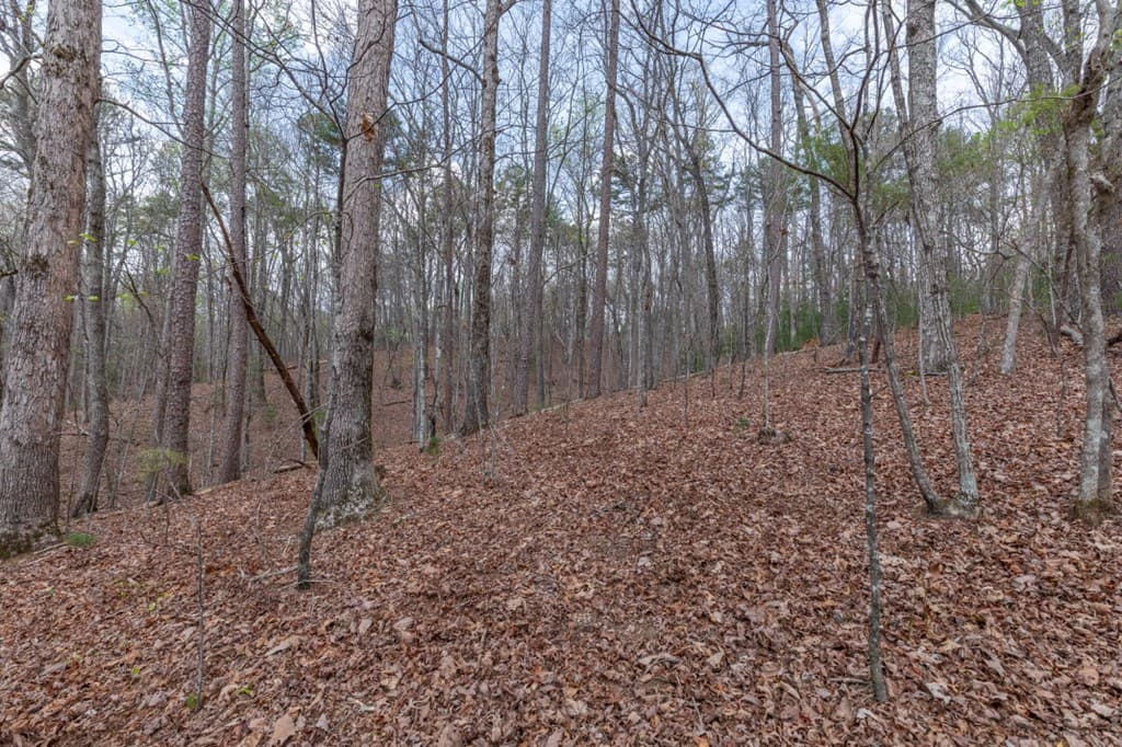 Lot 6B Glenridge Way, Ellijay GA 30540 - Photo