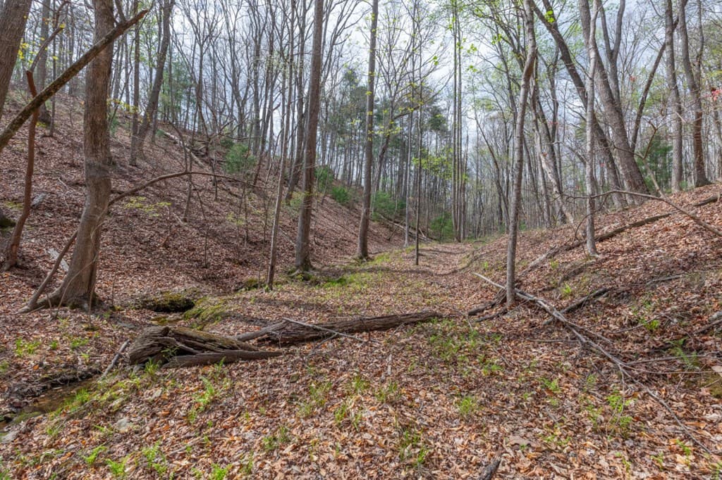 Lot 6B Glenridge Way, Ellijay GA 30540 - Photo
