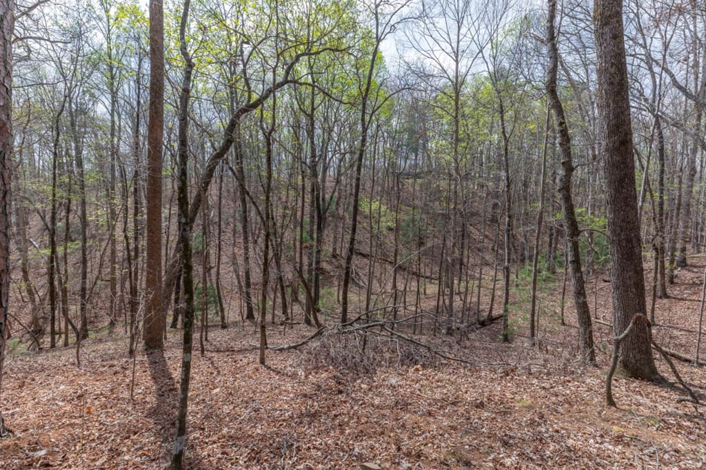 Lot 6B Glenridge Way, Ellijay GA 30540 - Photo