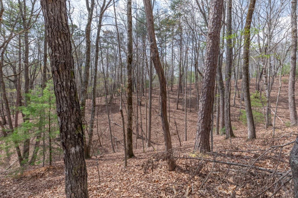 Lot 7A Glenridge Way, Ellijay GA 30540 - Photo