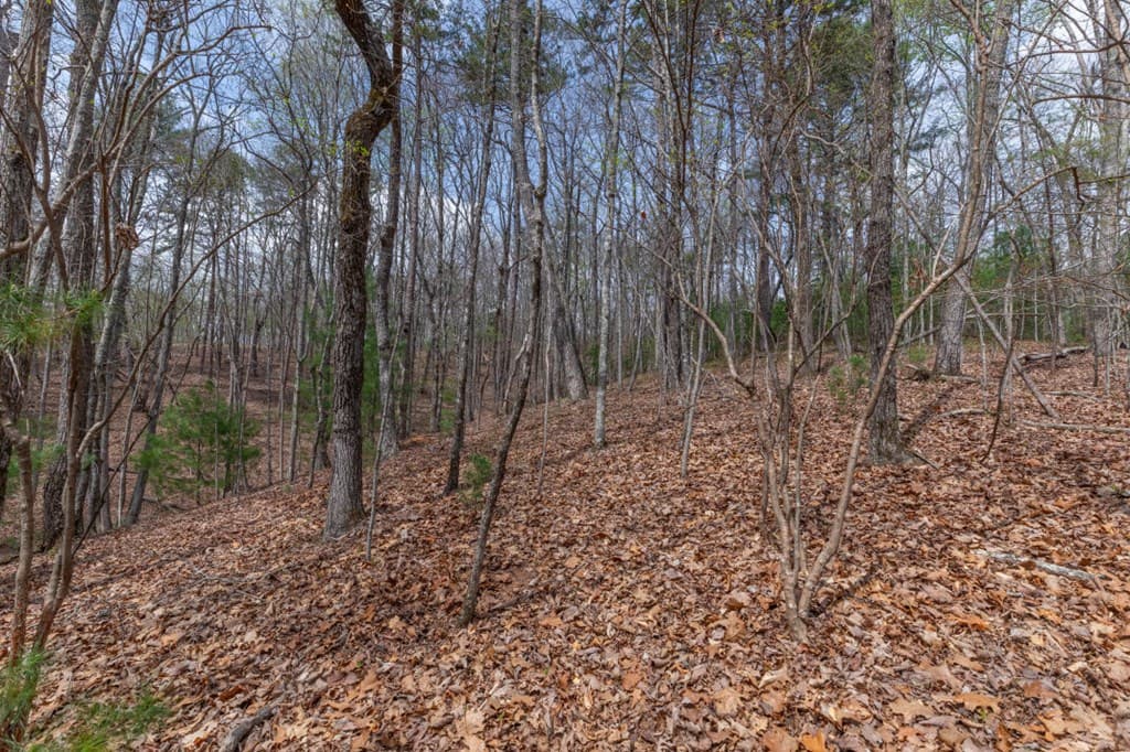 Lot 7A Glenridge Way, Ellijay GA 30540 - Photo