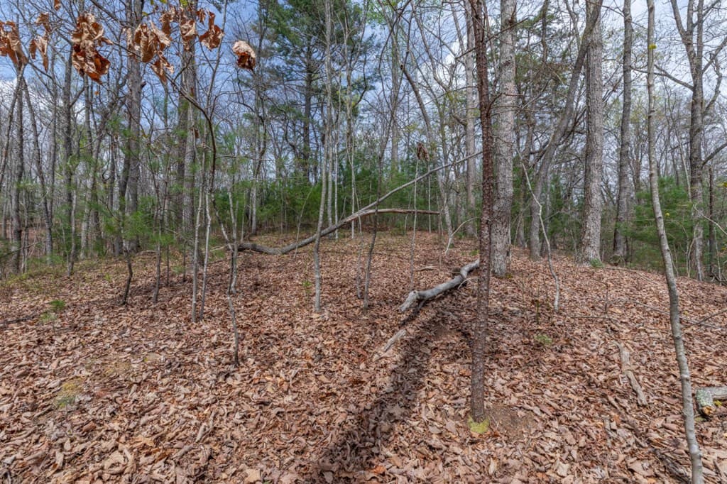 Lot 7A Glenridge Way, Ellijay GA 30540 - Photo
