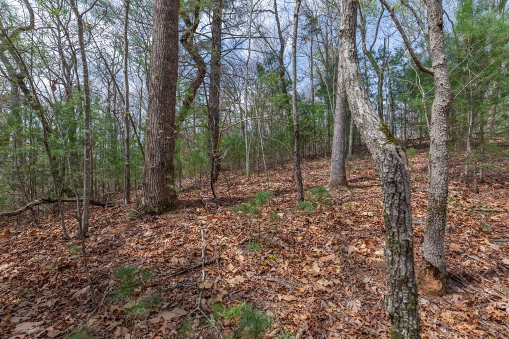 Lot 7A Glenridge Way, Ellijay GA 30540 - Photo