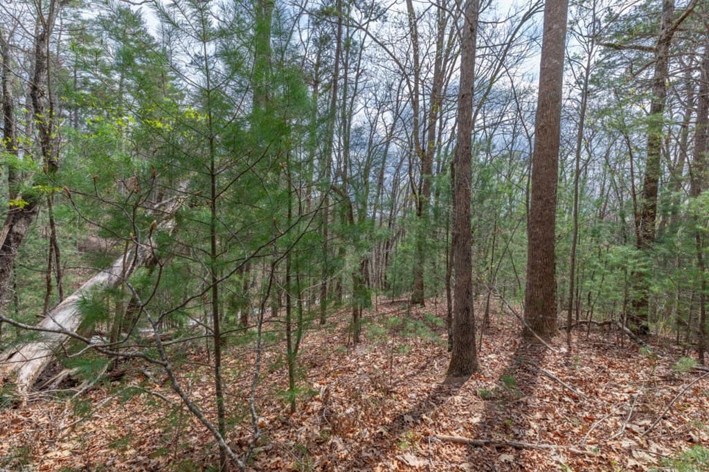 Lot 7A Glenridge Way, Ellijay GA 30540 - Photo