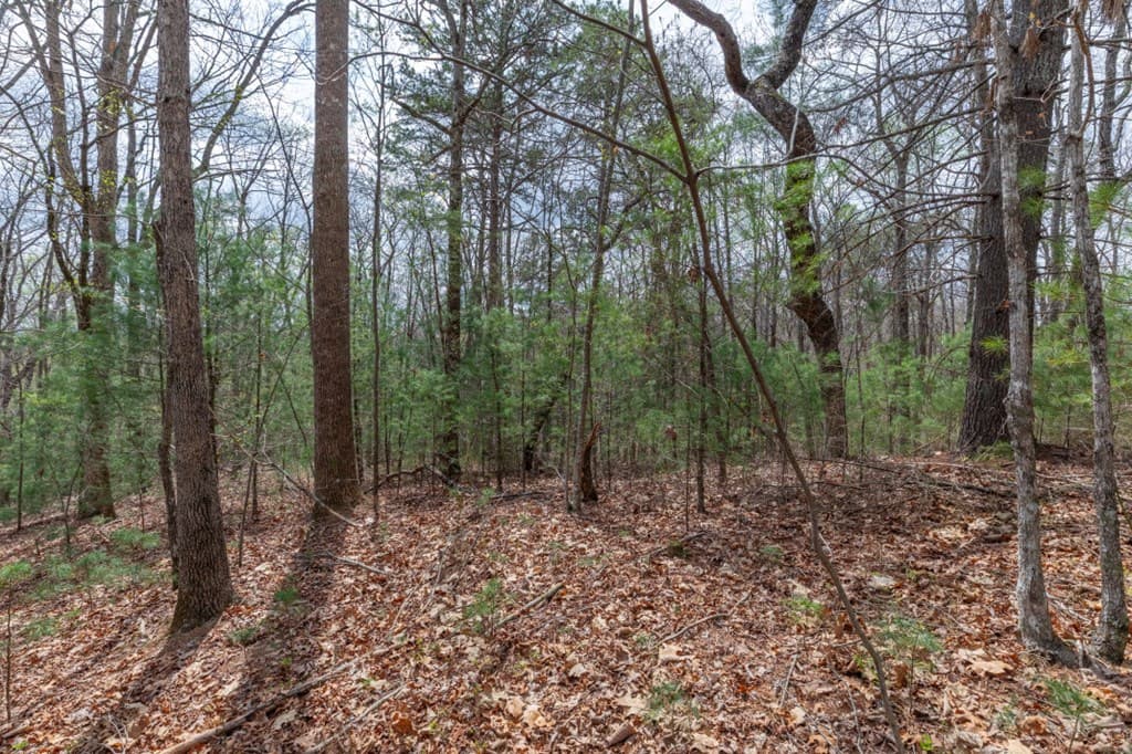 Lot 7A Glenridge Way, Ellijay GA 30540 - Photo