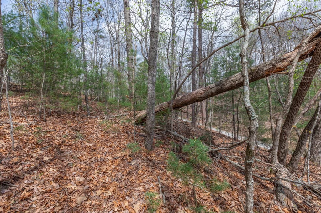 Lot 7A Glenridge Way, Ellijay GA 30540 - Photo
