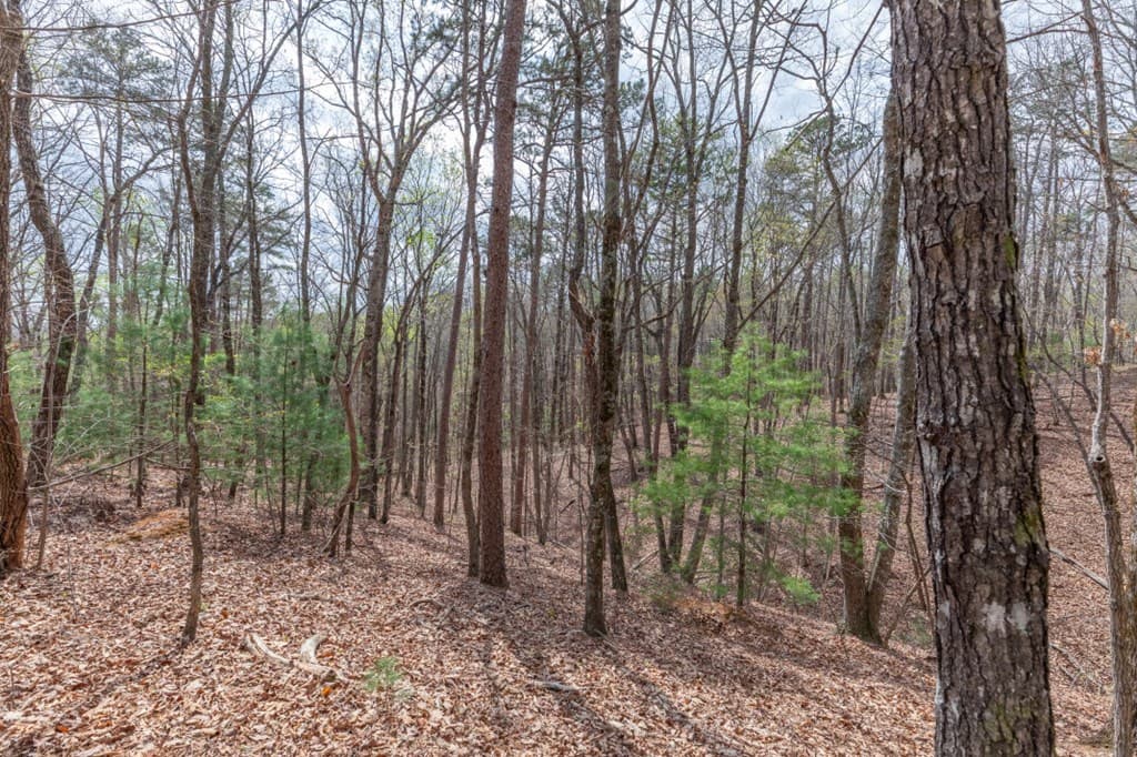 Lot 7A Glenridge Way, Ellijay GA 30540 - Photo