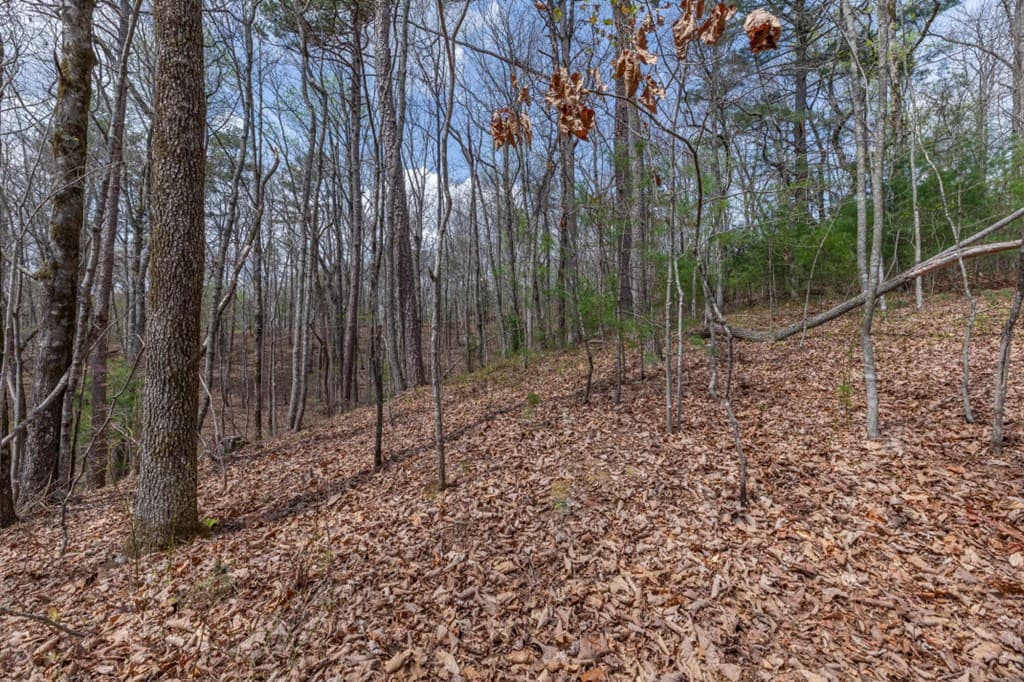Lot 7A Glenridge Way, Ellijay GA 30540 - Photo