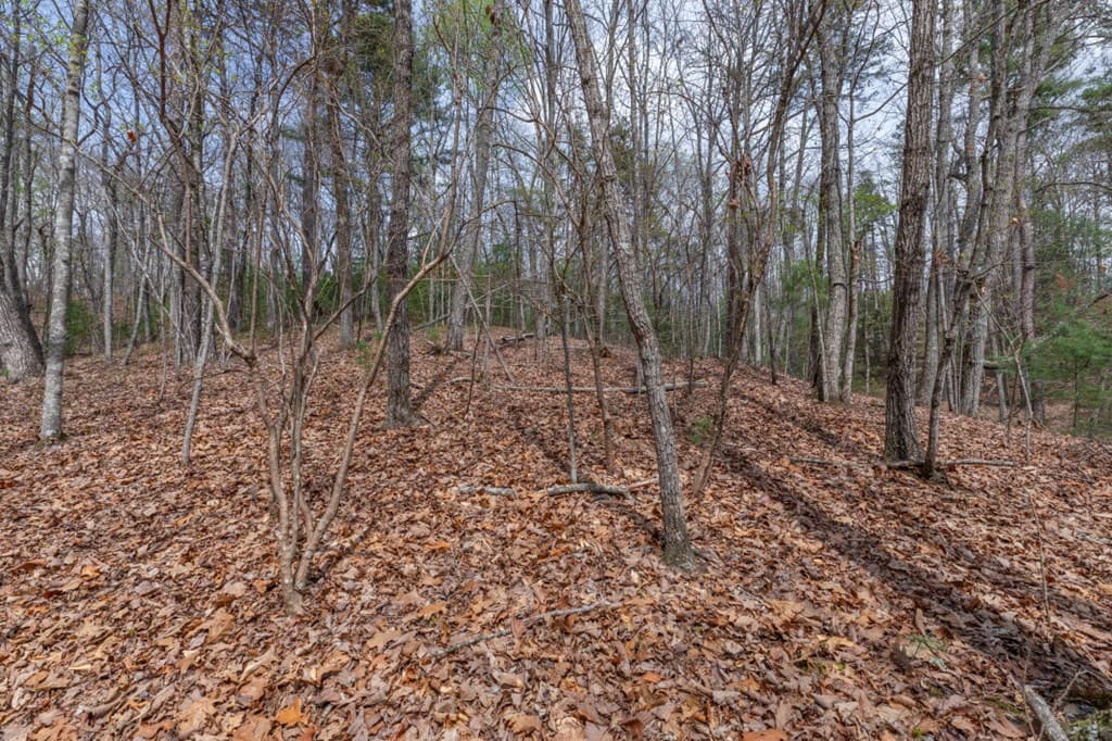 Lot 7A Glenridge Way, Ellijay GA 30540 - Photo