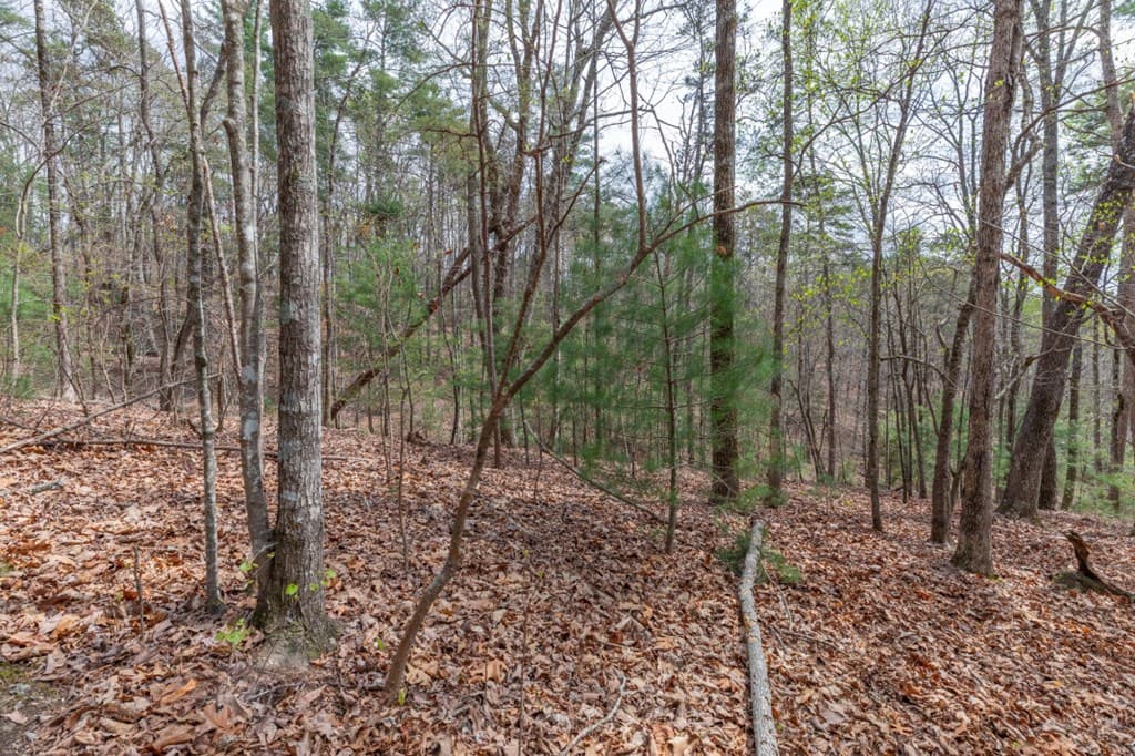 Lot 7A Glenridge Way, Ellijay GA 30540 - Photo