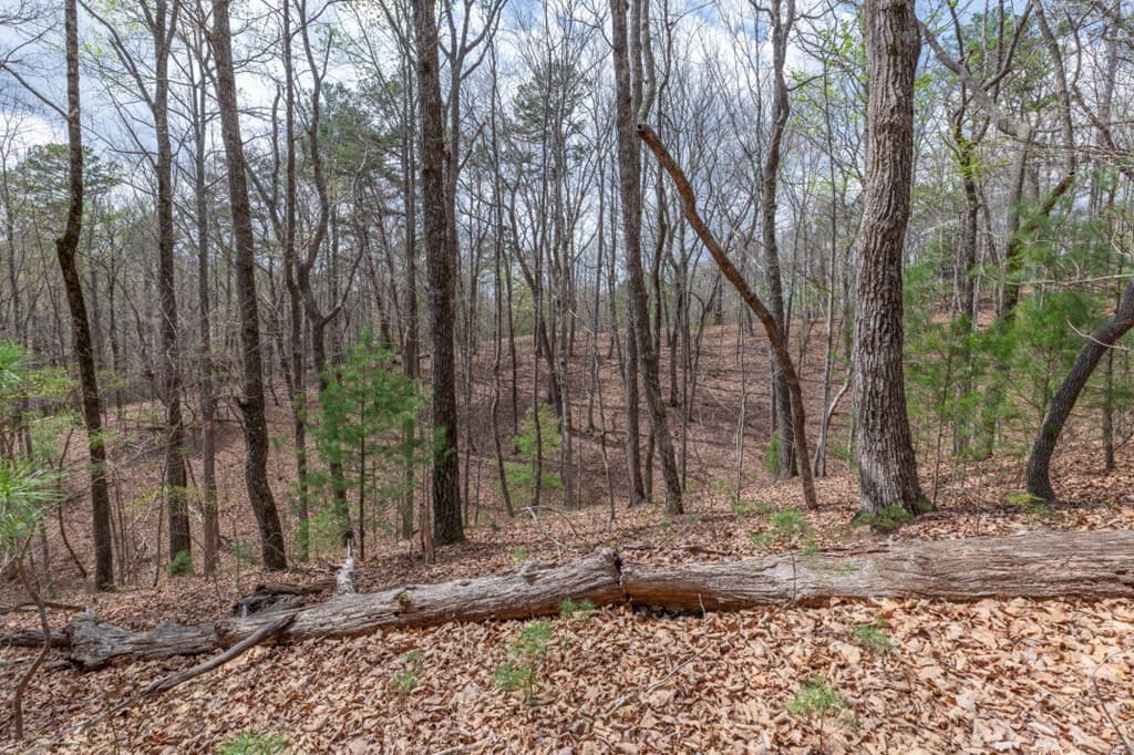 Lot 7A Glenridge Way, Ellijay GA 30540 - Photo