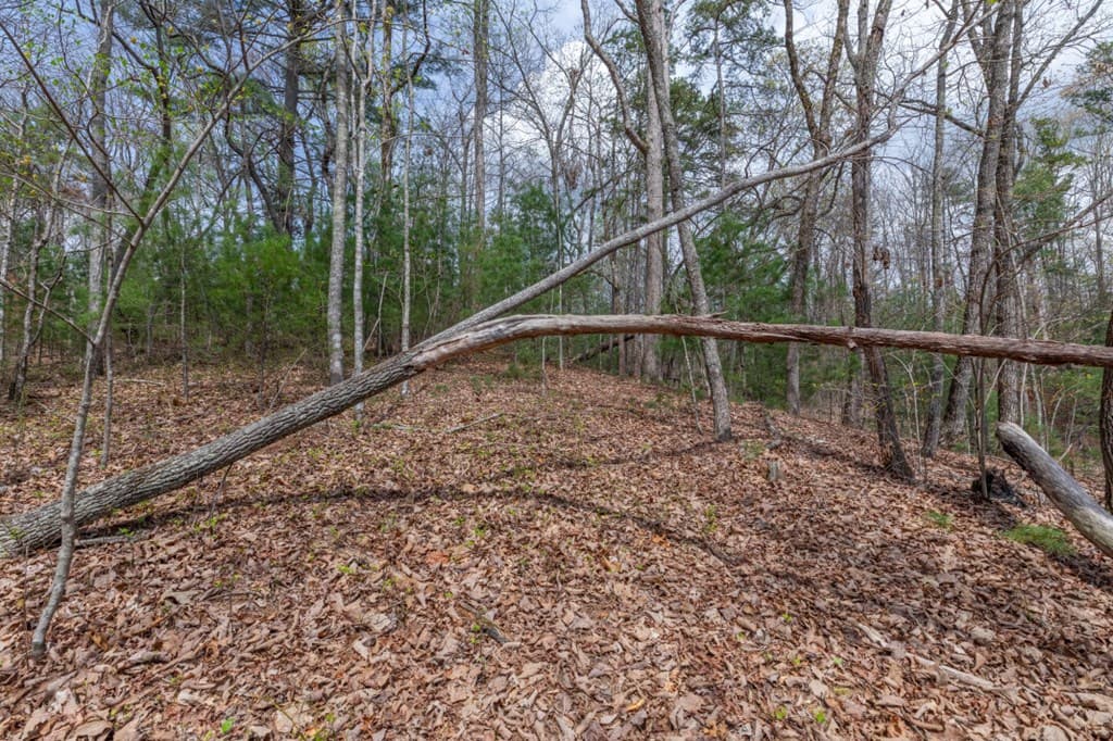 Lot 7A Glenridge Way, Ellijay GA 30540 - Photo