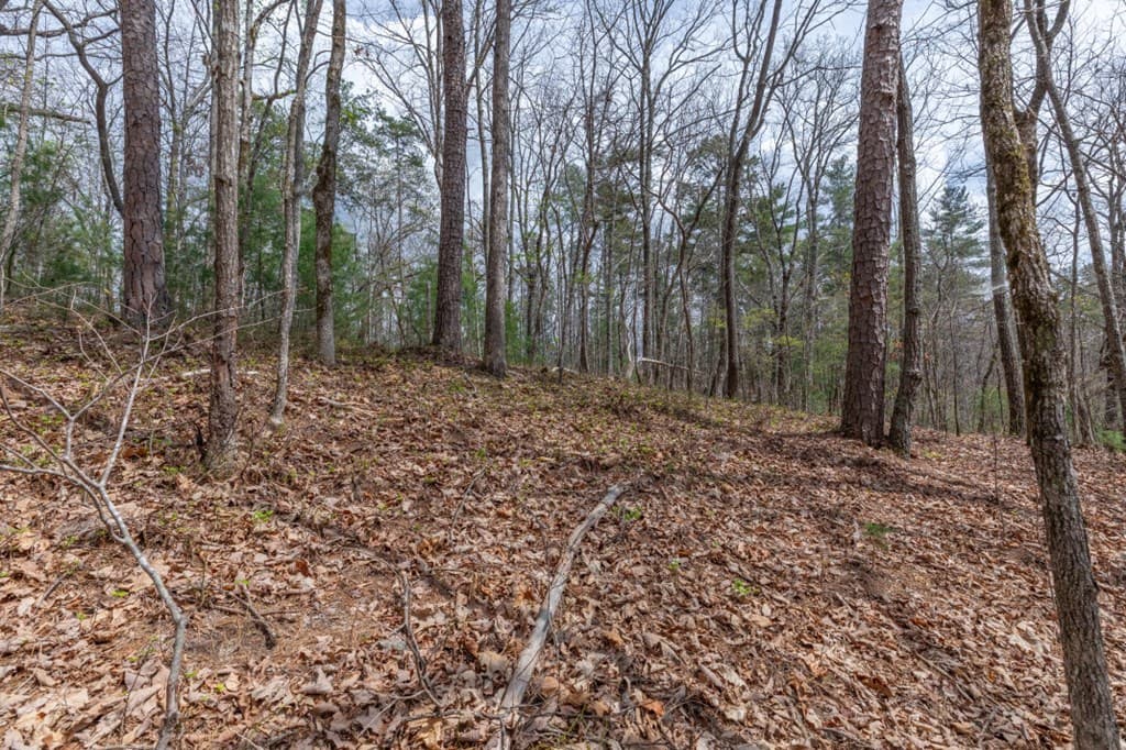 Lot 7A Glenridge Way, Ellijay GA 30540 - Photo