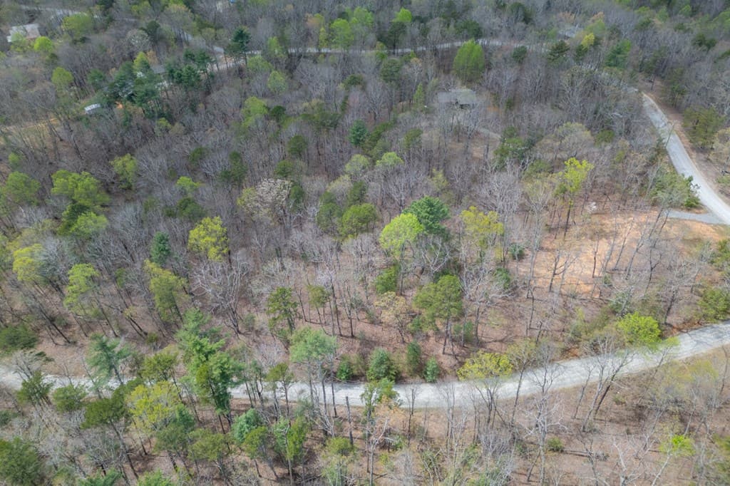 Lot 7A Glenridge Way, Ellijay GA 30540 - Photo