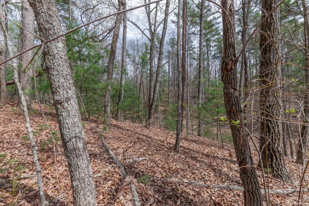 Lot 7A Glenridge Way, Ellijay GA 30540 - Photo