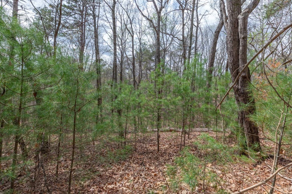 Lot 7A Glenridge Way, Ellijay GA 30540 - Photo