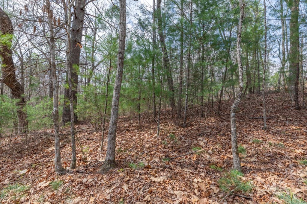 Lot 7A Glenridge Way, Ellijay GA 30540 - Photo