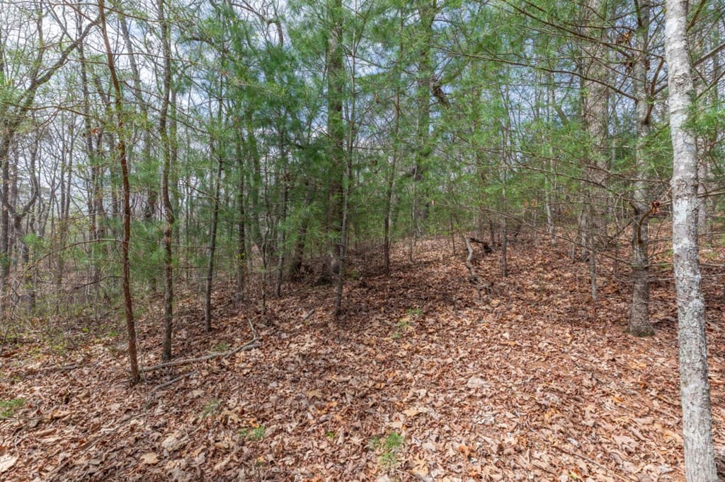 Lot 7A Glenridge Way, Ellijay GA 30540 - Photo