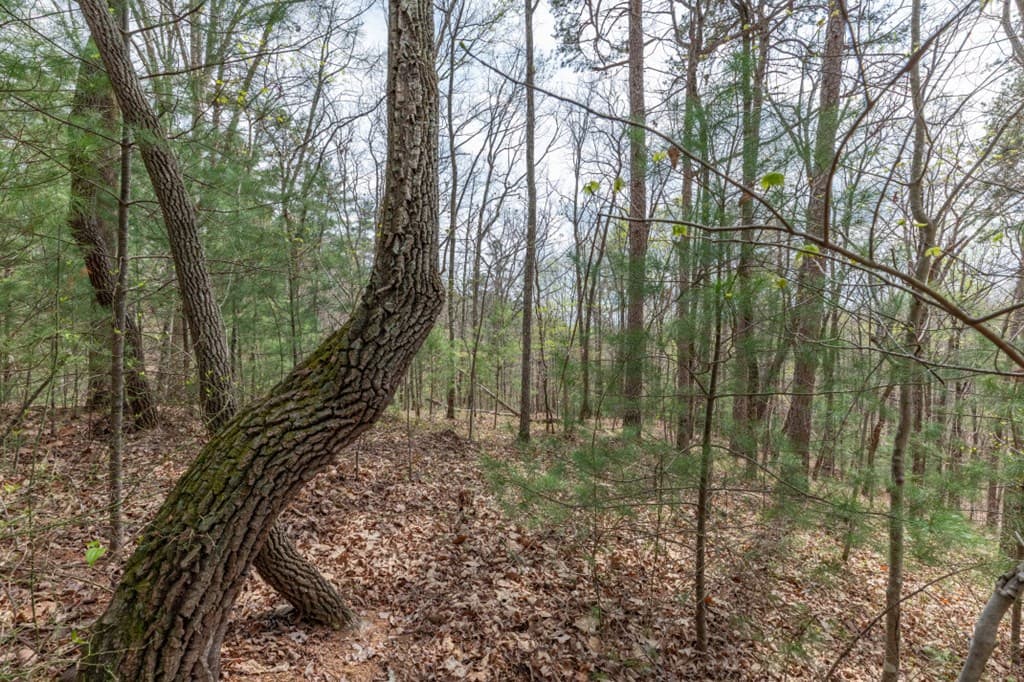Lot 7A Glenridge Way, Ellijay GA 30540 - Photo