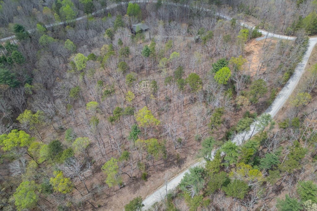 Lot 7A Glenridge Way, Ellijay GA 30540 - Photo