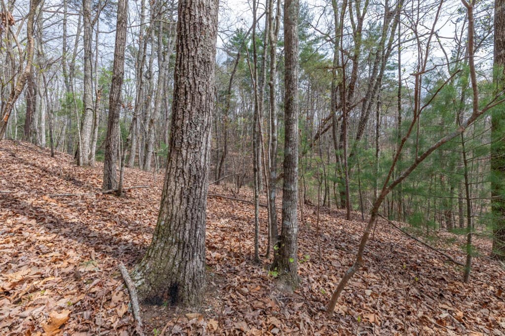 Lot 7A Glenridge Way, Ellijay GA 30540 - Photo