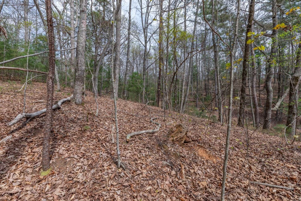 Lot 7A Glenridge Way, Ellijay GA 30540 - Photo