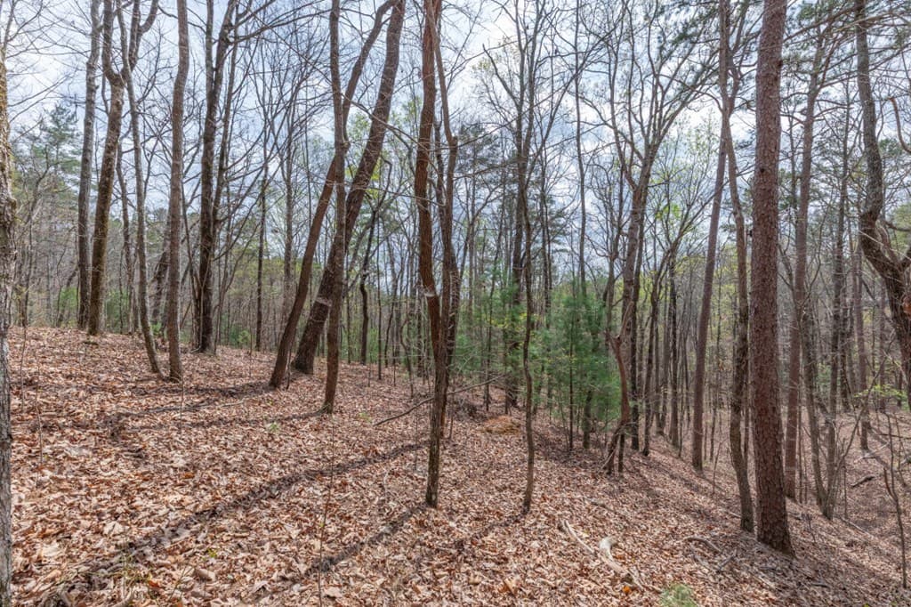Lot 7A Glenridge Way, Ellijay GA 30540 - Photo