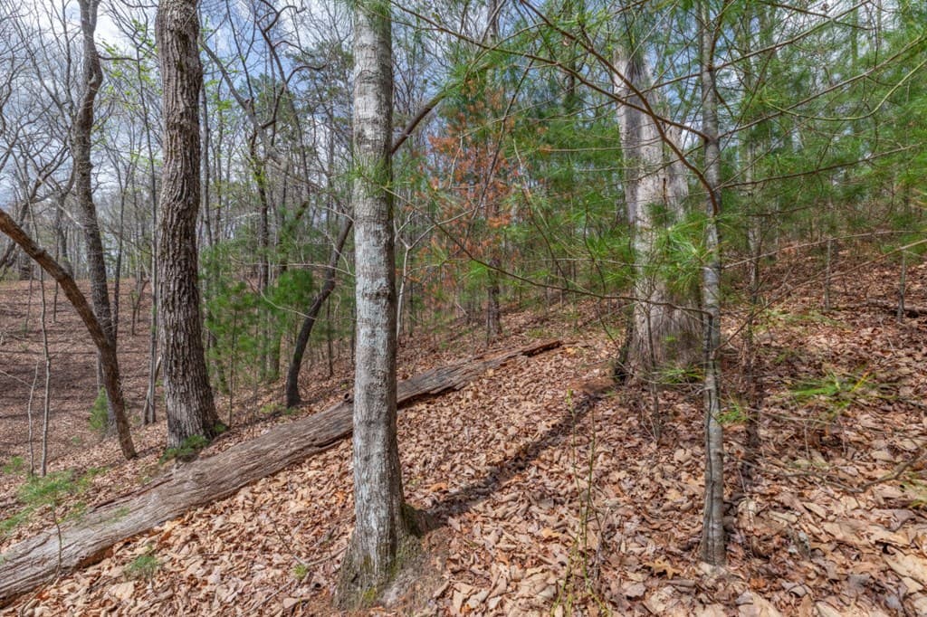 Lot 7A Glenridge Way, Ellijay GA 30540 - Photo