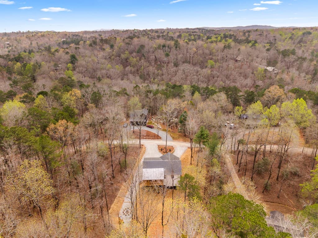 64 Nickel Lane, Ellijay GA 30540 - Photo