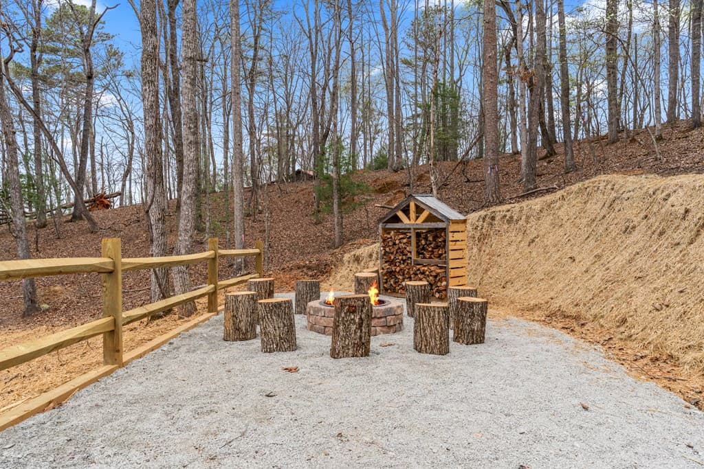 64 Nickel Lane, Ellijay GA 30540 - Photo