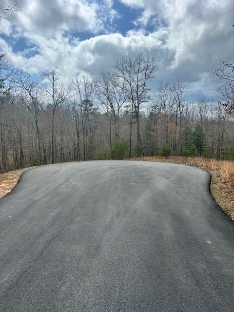 Lot 195 Trails End Way, Mineral Bluff GA 30559 - Photo