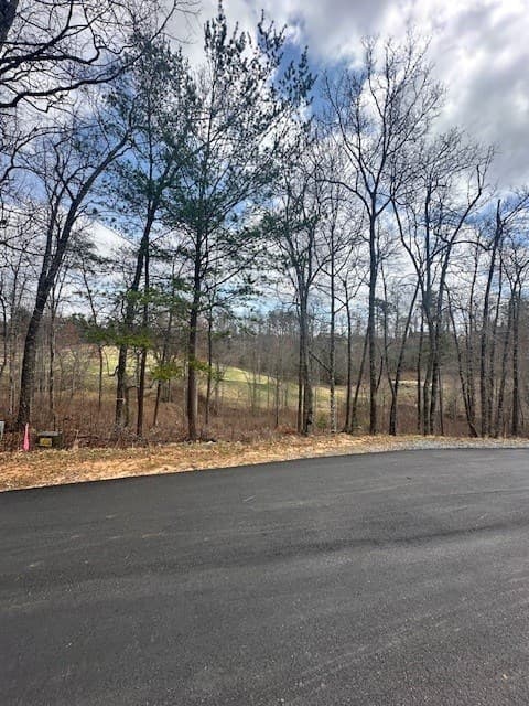 Lot 195 Trails End Way, Mineral Bluff GA 30559 - Photo