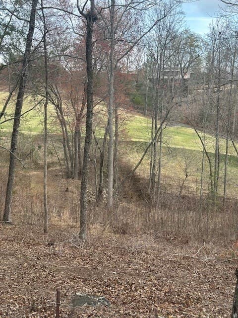 Lot 195 Trails End Way, Mineral Bluff GA 30559 - Photo