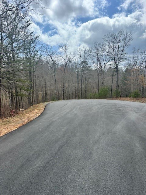 Lot 195 Trails End Way, Mineral Bluff GA 30559 - Photo