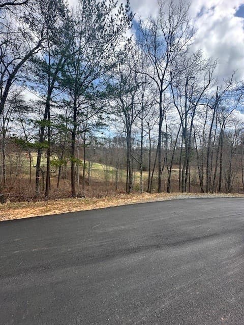 Lot 195 Trails End Way, Mineral Bluff GA 30559 - Photo