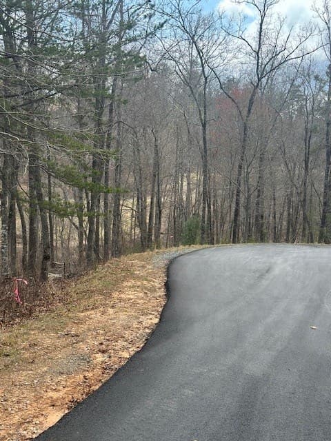 Lot 195 Trails End Way, Mineral Bluff GA 30559 - Photo