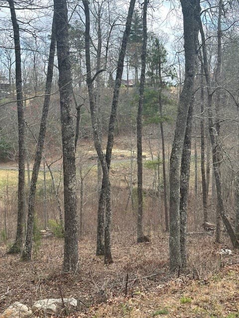 Lot 195 Trails End Way, Mineral Bluff GA 30559 - Photo