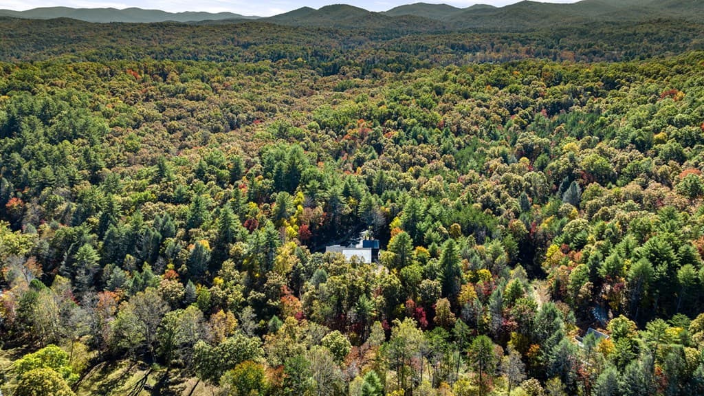 184 Spence Road, Blue Ridge GA 30513 - Photo