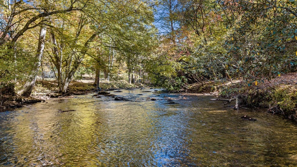 184 Spence Road, Blue Ridge GA 30513 - Photo