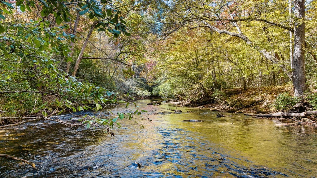 184 Spence Road, Blue Ridge GA 30513 - Photo