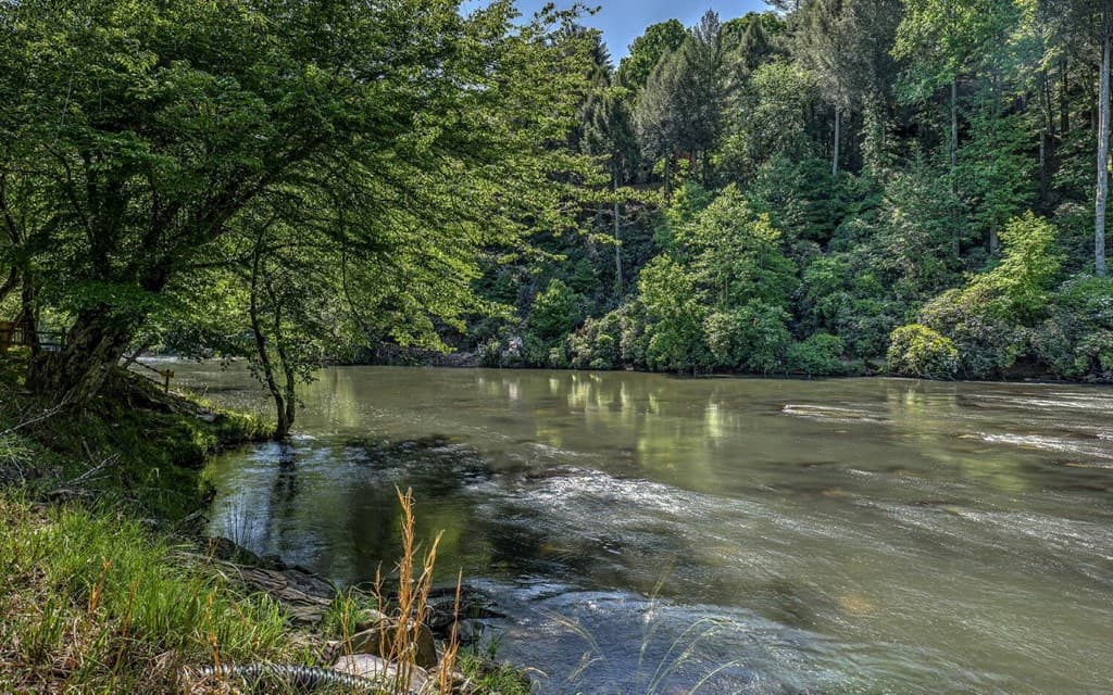 343 Muller Lane, Ellijay GA 30540 - Photo