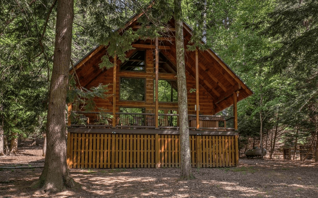 343 Muller Lane, Ellijay GA 30540 - Photo